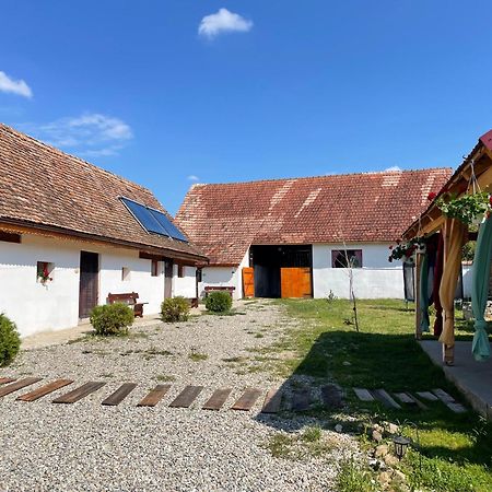 Barcut Chalet Giuel מראה חיצוני תמונה