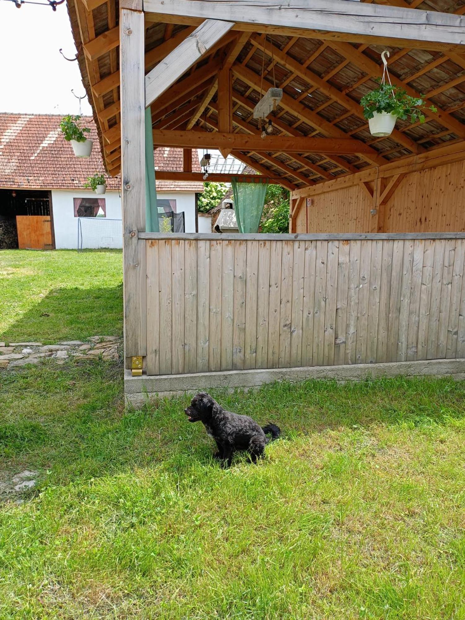 Barcut Chalet Giuel מראה חיצוני תמונה
